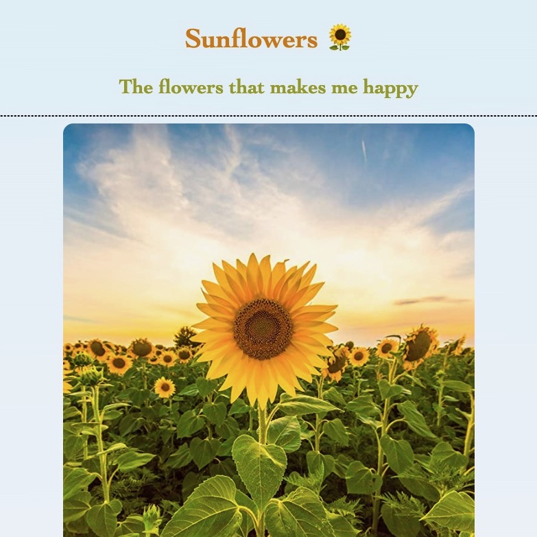 Screenshot of Sunflower static landing page